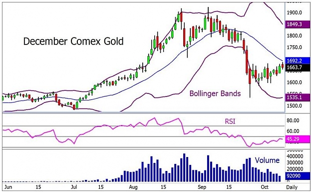 Click to Enlarge

Name: golddaily01.JPG
Size: 66 KB
