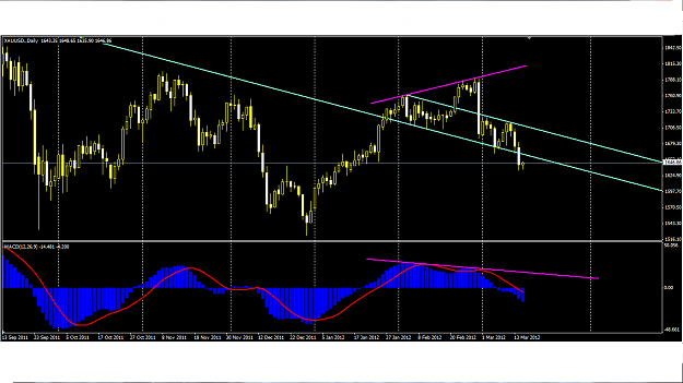 Click to Enlarge

Name: gold daily MACD.png
Size: 55 KB