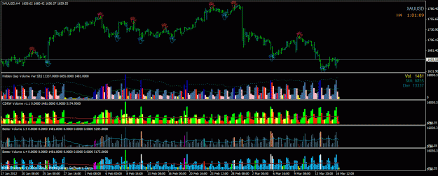 Click to Enlarge

Name: 4h gold.gif
Size: 38 KB