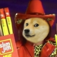 Much Wow: Slim Jim Has an Official Dogecoin Strategy | Crypto Craft